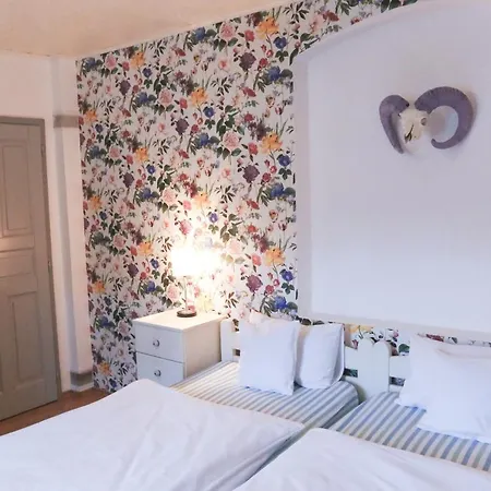 Dubina Guest house
