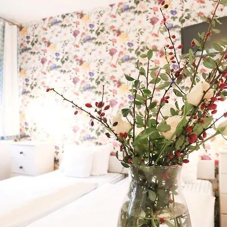 Dubina Guest house Kyselka (Karlovy Vary)