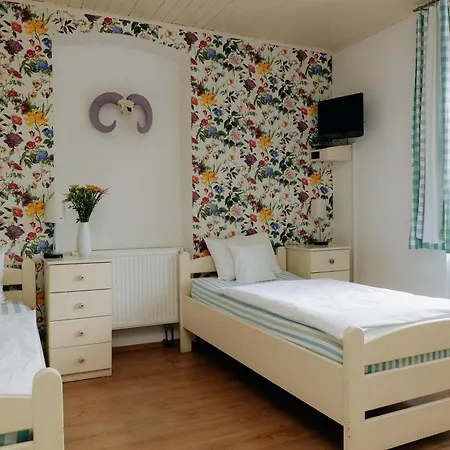 Dubina Pensionat 3*