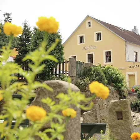 Dubina Guest house 3*