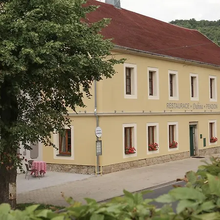 Pensionat Dubina Kyselka (Karlovy Vary)