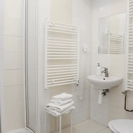Guest house Dubina Kyselka (Karlovy Vary)